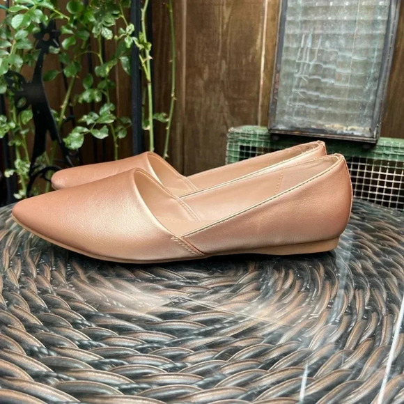 TAXI Alexia Pointed Toe Flats Rose Gold - Picture 5 of 13